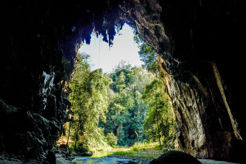 The Most Amazing Cave Tham Lod Cave  ,  Maehongson,  in Thailand